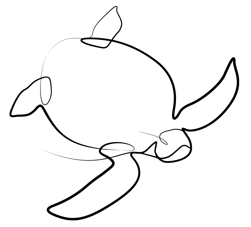 turtle_0001a